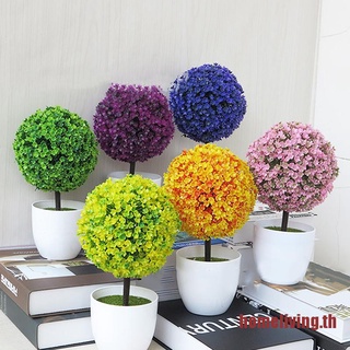 Home กระถางต้นไม้ประดิษฐ์ ซากุระ สโนว์บอล ขนาดเล็ก 5 สี