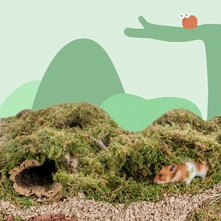 Niteangel หญ้า มอส แห้ง moss ป่ามอสสำหรับหนูแฮมสเตอร์ ทำรัง จัดสวนแนวธรรมชาติ
