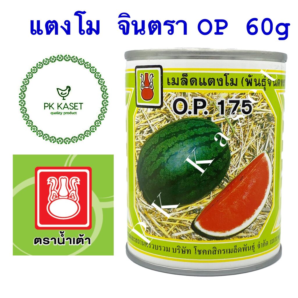 เมล็ดแตงโม จินตรา OP 175 ตราน้ำเต้า กระป๋อง ขนาด 60 g ราคา ถูกที่สุด ดีลบีเคเค