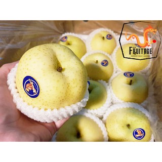 สาลี่ทอง (ยกลัง18ลูก) (CHN) ~ลดพิเศษ~ Premium Chinese Pears หอม หวาน อร่อย ! ผลไม้นำเข้า ผลไม้สด (ขายส่ง ราคาส่ง)