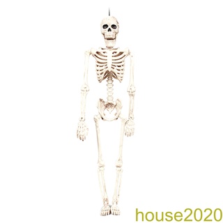 [house]40cm Halloween Skeleton Toy Poseable Skeleton Full Body Halloween Skeleton with Movable Joints