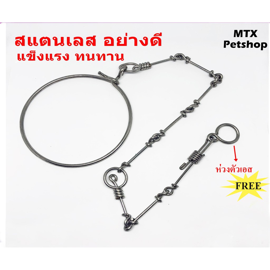 โซ่ขานก สแตนเลส แบบสั้น // มีห่วงข้อขา ตัวเอส พร้อมกับโซ่ ไม่ต้องซื้อเพิ่ม //