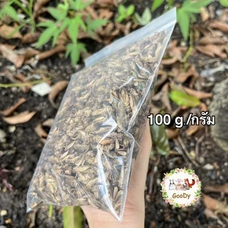 สะดิ้งอบแห้ง 100 กรัม/g. Dried House Crickets