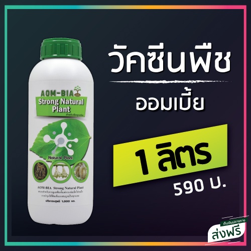 วัคซีนพืช "ออมเบี้ย" สกัดจากธรรมชาติ 100% นวัตกรรมใหม่ ทำงาน 2 in 1 ฮอร์โมนพืชและปุ๋ยทางใบ (1 ลิตร)
