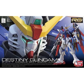 RG 1/144 : Destiny Gundam