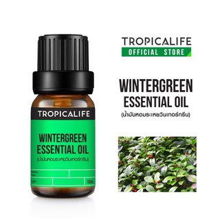 WINTERGREEN ESSENTIAL OIL 10 ml