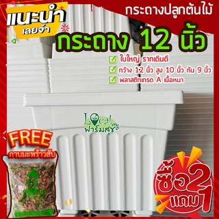 2แถม1ฟรี🔸กาบมะพร้าวสับ กระถางต้นไม้ 12” กระถางขาว กระถางปลูกต้นไม้ กระถางกุหลาบ กระถางปลูกบอน กระถางพลาสติก เนื้อดี