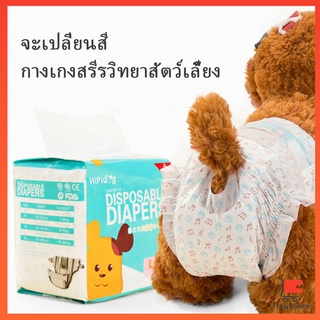 [A685] ชาย หญิง  ผ้าอนามัยสุนัข แพมเพิสสุนัข ผ้าอ้อมสัตว์เลี้ยง Dog Diaper (1ห่อ=10ชิ้น) Dog Diaper