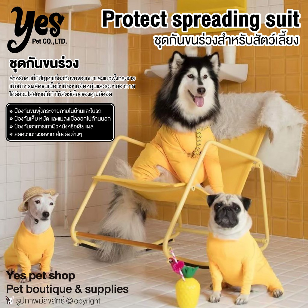 ชุดกันขนร่วงสุนัข ชุดกันขนร่วงแมว Daddy Dog Protect spreading suit เสื้อหมา เสื้อแมว สีเหลือง (แบบตั