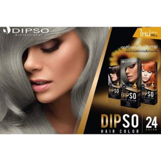 สีย้อมผม ดิปโซ่ ครีมเปลี่ยนสีผมสูตรปราศจากแอมโมเนีย Dipso Hair Color กล่องใหญ่ 110 มล.