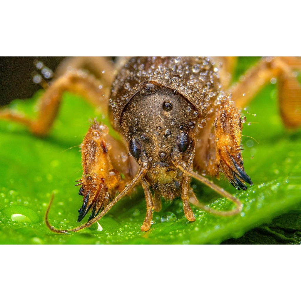 รูปภาพ 7