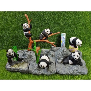 (ยกชุดพร้อมส่ง) Model โมเดลหมีแพนด้า Real Life of Panda โมเดลสัตว์