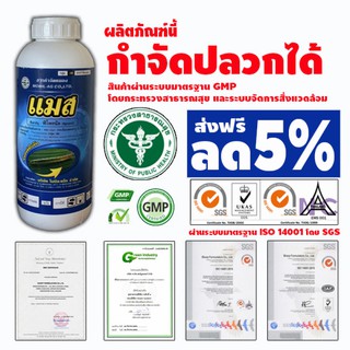 ยากำจัดปลวก แมส ตัวเดียวกับ แอสเซนด์ 1 ลิตร น้ำสีฟ้า สาร ฟิโพรนิล กำจัดปลวก หนอนใบขาว แมลงมอด ตายยกรัง เพลี้ยไฟ แม