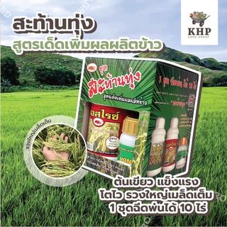 สะท้านทุ่ง อาหารเสริมพืช ปุ๋ยน้ำสำหรับนาข้าว ลดการใส่ปุ๋ยลงได้ 25-50% ข้าวโต เขียวทนนาน รวงใหญ่ เมล็ดเต็ม (1 ชุด 10 ไร่)