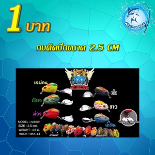 โปรลูกค้าใหม่ กบติดปีก ขนาด 2.5 cm