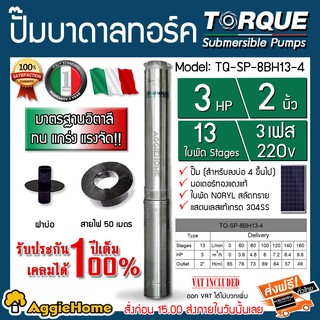 TORQUE ปั๊มบาดาล รุ่น TQ-SP-8BH13-4 (220V.) 2นิ้ว 3HP 13ใบ 3P #สำหรับโซล่าเซลล์ (สายไฟ 3x1.5 + ฝาบ่อ 2 นิ้ว) บาดาล