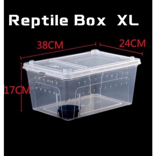 Reptile Box [XL] กล่องเลี้ยงสัตว์เล็ก สัตว์เลื้อยคลาน ผสมพันธุ์สดกล่อง สำหรับเลี้ยงงูแมงมุม ตุ๊กแก ฮอร์นฟรอก แมงป่อง