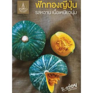 โครงการหลวง ฟักทองญี่ปุ่น 🎃 japanese pumkin