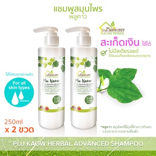 บ้านหมอละออง แชมพูสมุนไพร พลูคาว 250ml แชมพู สะเก็ดเงิน รังแค ใช้ได้ อ่อนโยนกับหนังศีรษะ แชมพูพลูคาว แอ๊ดวานซ์ Advanced