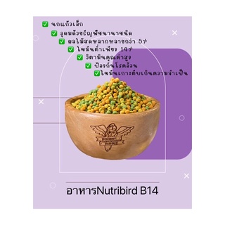 Nutribird B14 (แบ่งขาย) อาหารเม็ดสีสำหรับนกแก้ว ผลไม้อัดเม็ด อาหารเม็ดสีสำหรับนกแก้วขนาดเล็ก ฟอพัส เลิฟเบิร์ด หงษ์หยก