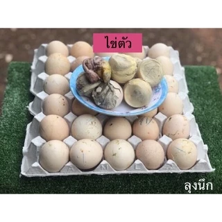 ไข่ข้าวไข่ตัวลุงนึก🐣ไข่ไก่🔥ราคา 55 บาท/10ฟอง🔥#ไข่ข้าวนึ่งสุก#ไข่ฮ้างฮาง#ไข่ลูกอ่อน