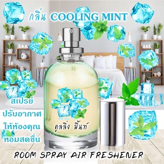 Spray Air Freshener 120 ml กลิ่น COOLING MINT