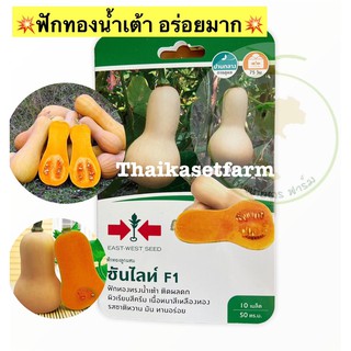 ฟักทองบัตเตอร์นัทซันไลท์ F1 (ซองN)เมล็ดพันธ์ุฟักทอง หวาน อร่อยขายดี‼️