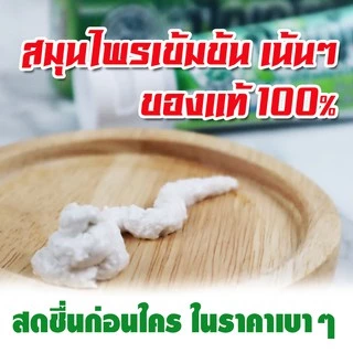 ยาสีฟันปัญญ์ชลี ขนาด 80 กรัม สมุนไพรสูตรเข้มข้น ของแท้ 100%