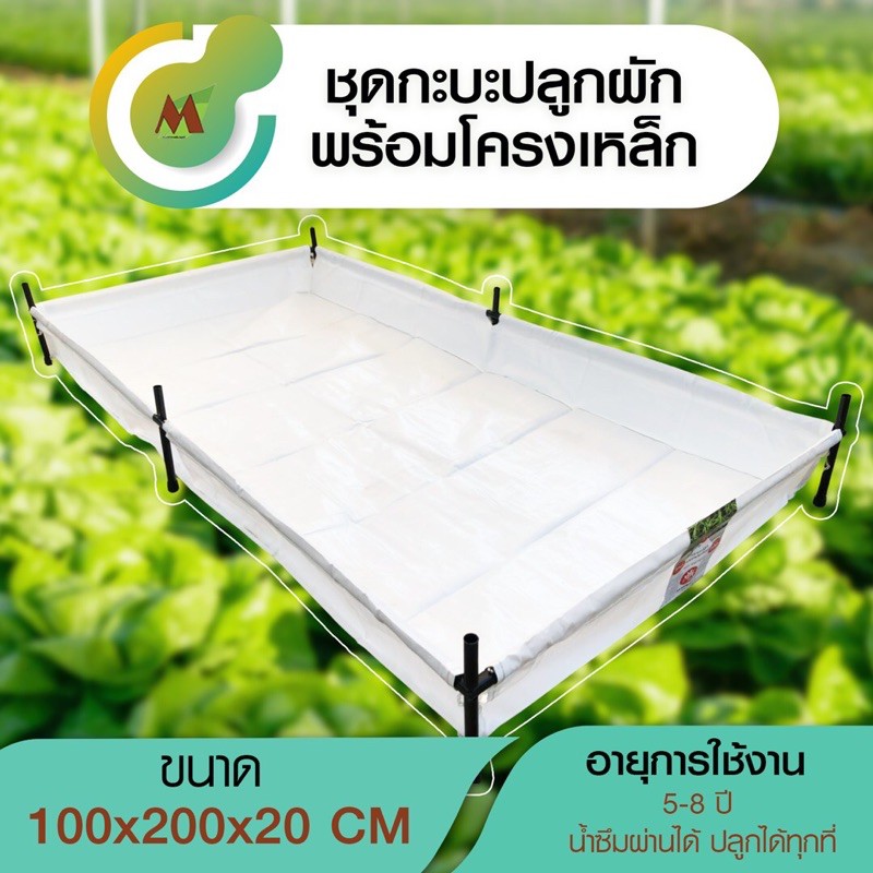 กระบะปลูกผักพร้อมโครงเหล็ก กระบะ กระบะแปลงผัก เพาะชำ ขนาด 100x200x20 cm.