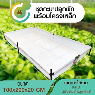 กระบะปลูกผักพร้อมโครงเหล็ก กระบะ กระบะแปลงผัก เพาะชำ ขนาด 100x200x20 cm.