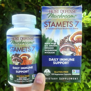 สารสกัดจากเห็ดออแกนิครวม 7 ชนิด Organic Stamets 7 Daily Immune Support 120 Vegetarian Capsules (Host Defense®)