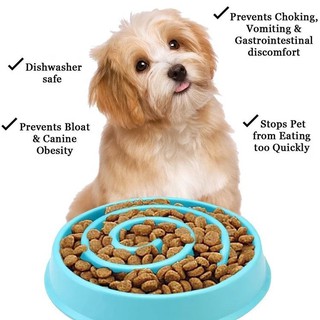 Mr Pet Bowl pet food bowl slow ชามอาหารสัตว์เลี้ยงชะลอการทานอาหาร