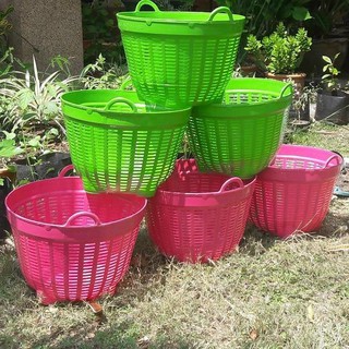 Pack of 6 Fruit Bucket 36ซม คละสี เข่ง เข่งพลาสติก ตะกร้าพลาสติกเอนกประสงค์ เข่งใส่ผลไม้ เข่งผลไม้ จัดส่งในประเทศไทยเพ