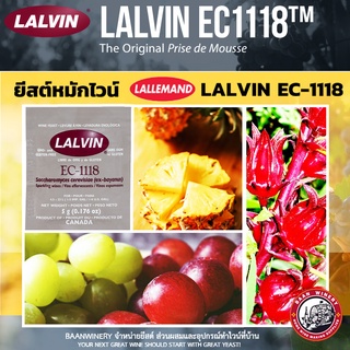 ยีสต์ทำไวน์ ยีสต์หมักไวน์ ยีสต์ หมัก ไวน์ ทำ ไวน์ LALVIN EC-1118 LALLEMAND WINE YEAST ยีสต์หมัก ไวน์ ผงไวน์ 1 ซอง