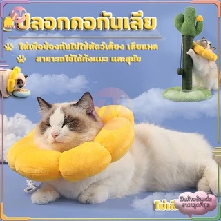 คอลล่า กันเลียแมว ปอกคอแมว ปลอกคอสัตว์เลี้ยง ป้องกันการเลียแผลนุ่มนิ่มใส่สบาย น่ารัก มี 4 ขนาด