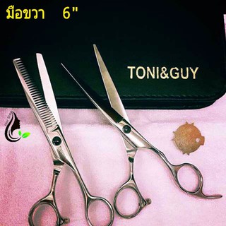 TONI&amp;GUY ชุดกรรไกรตัด-ซอย (มือขวา) 6" พร้อมอุปกรณ์+กระเป๋าหนัง