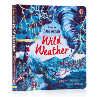 usborne wild weather 🌡⛈🌪