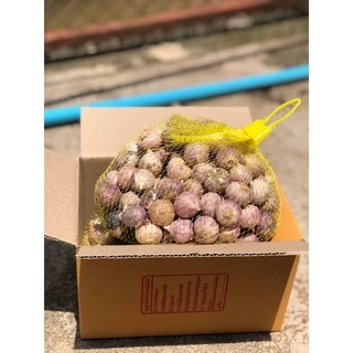 กระเทียมโทนใหญ่ 10 กก. (ขายส่ง)