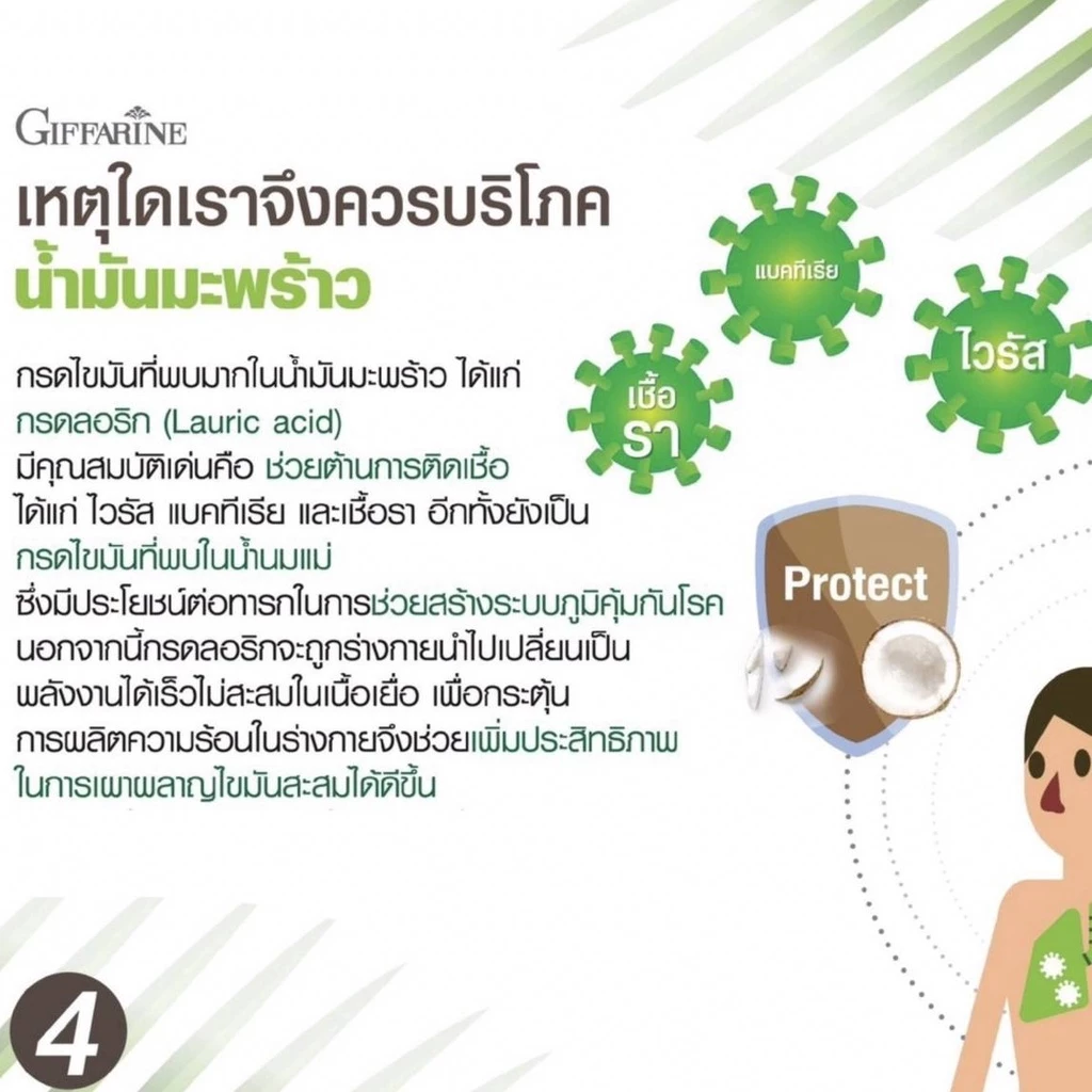 กาแฟดำผสมน้ำมันมะพร้าวคุมหิวเผาผลาญดี thumbnail 7