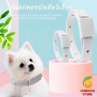 Chokchaistore [A678] ปลอกคอกันเห็บ หมัด  **ในซองพลาสติก**  ปลอกคอแมว ปลอกคอหมา  Pet insect repellent collar