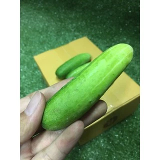 แตงกวาสด 🥒- ผักผลไม้สด