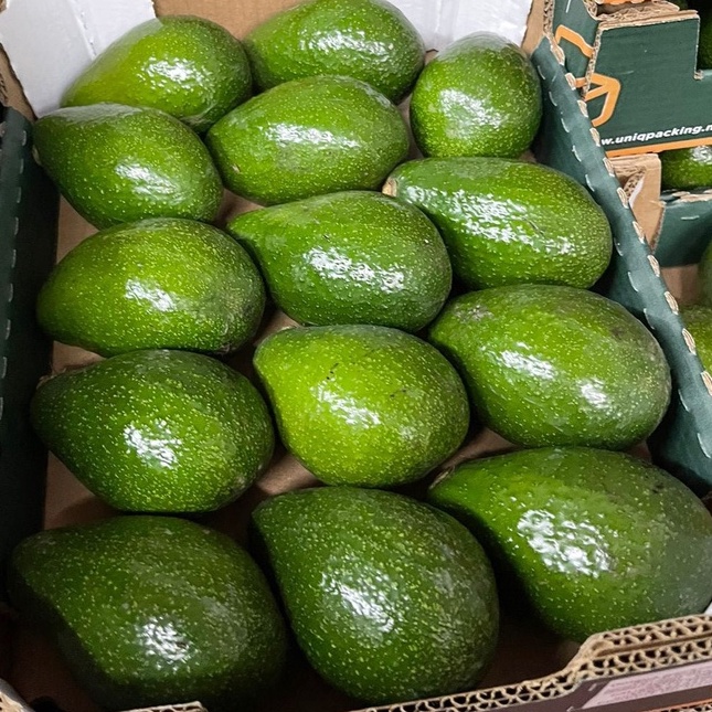 อาโวคาโด (avocado) ผลไม้เพื่อสุขภาพ ทำเมนูอร่อยได้หลากหลาย รสชาติหอมมัน ขนาด 3-4 ลูกต่อกิโลกรัม