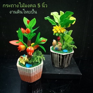 กระถางสวนไม้มงคลจิ๋ว กล้วยมงคล ส้ม ทับทิม