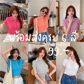 เสื้อยืดโปโล ผ้าร่อง สีสันสดใส 6 สี  พร้อมส่งแล้วจ้า มีรีวิวจากสินค้าจริงค่ะ