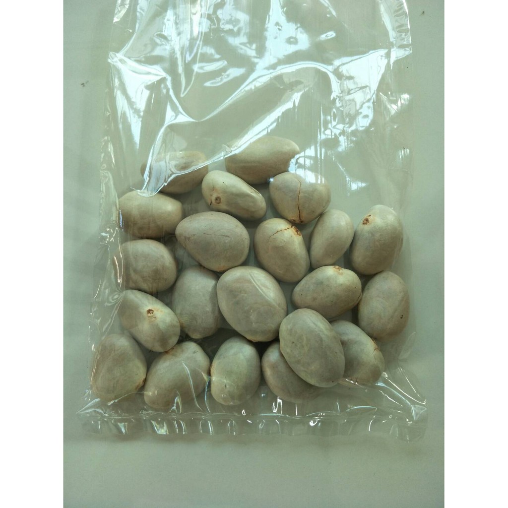 เมล็ดขนุนทองประเสริฐพร้อมปลูก    1 ซอง 10 เม็ด 29 บาท