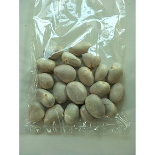 เมล็ดขนุนทองประเสริฐพร้อมปลูก    1 ซอง 10 เม็ด 20 บาท