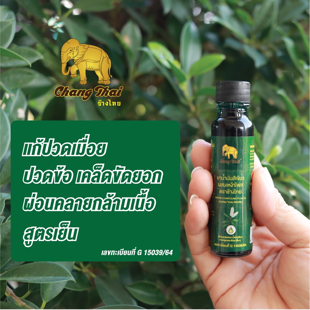 ยา น้ำมันสีเขียว ผสมเหง้าไพล ตราช้าง
