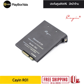 Cayin R01 ภาคแอมป์ module R01 ของ Cayin n6ii