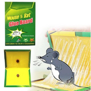 กาวดักหนูอย่างดี Super Glue Rat Board เหนียวพิเศษ มาตรฐานอเมริกา ปลอดภัย ปรับทรงได้หลายแบบ อุปกรณ์จับหนู ถาดดักหนู กาวดั