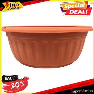 กระถางพลาสติก BABA 205 สี COTTA กระถางต้นไม้และอุปกรณ์ PLASTIC PLANT POT BABA 205 COTTA อุปกรณ์ตกแต่งสวน